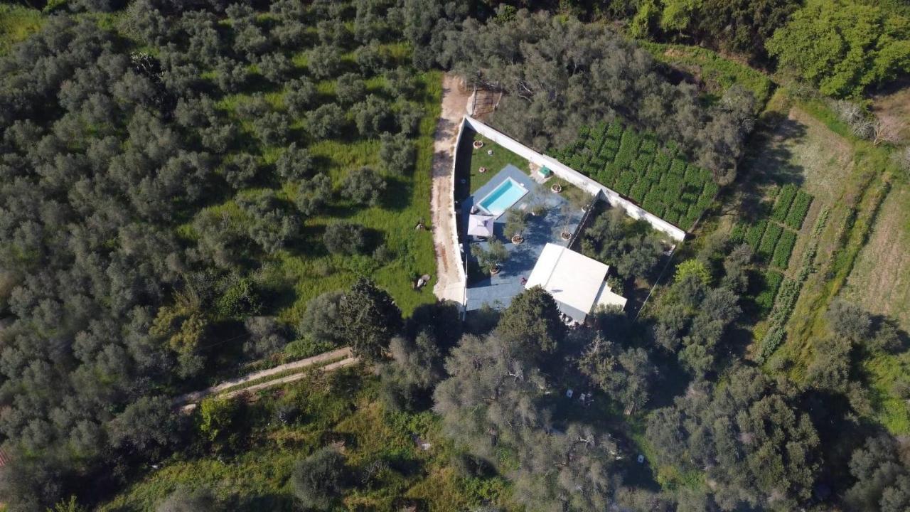 Gardiki For2 *